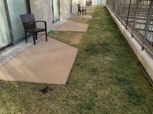 Grass area outside room