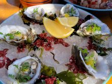 Oysters (fine, but I am partial to the oysters I get at home in Maine)