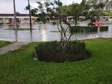 Shopping center in nearby Aventura the next morning after not raining for a few hours