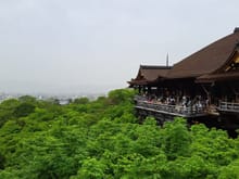 The Kiyomizudera main hall with Kyoto tower to the left. Beautiful greenery.