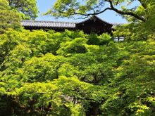 The bridge at tofukuji temple. This would be beautiful in autumn