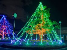 Illuminated trees by the bus stop from Nabana no sato at Nagashima railway station