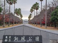 The main path in Shiokaze park facing the water