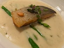 Arctic Char 