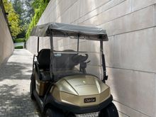 Electric buggy