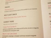 FRA-ATL Dessert, Midflight, and Pre-Arrival