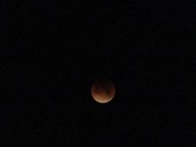 These pictures were taken from southern California.