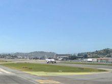 Another gorgeous Wellington spring day 