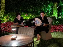 Night concert in the garden