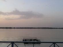 Bats at dusk [Segou]