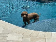 Just so you know, after the fort, we go to the pool!