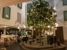 Even the inner atrium tree was crowned with lights