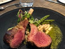 Lamb 