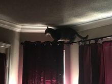 Fred being Fred