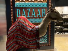Store in the main terminal selling local souvenirs