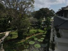 View : sea between the trees