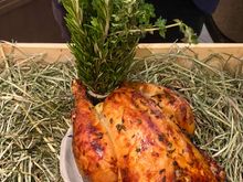 The chicken - dressed 