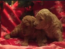 You know you’ve been waiting ....