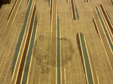 Filthy hallway carpet