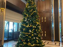 The Taman Gita Tree