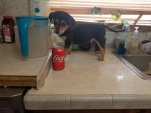 This is when I fell in love. At her foster parents in AL. 