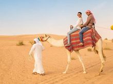 Untitled Album 2024-12-06 00:12:49