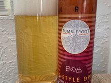 Tumbleroot Japanese Style Dry Lager. This one was quite good and I look forward to getting another. 