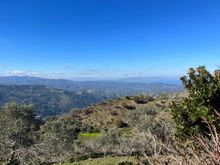 Nice View 