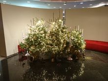 Lovely tree in the entrance to the P lounge. I didn't really notice much change in the menu re. Versailles though my steak was cooked a bit differently... no peppercorns.
