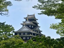 View of the castle from a picnic area in the garden