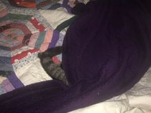 Nope! No Fred here! Look somewhere else!