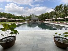 View at breakfast on Saturday 