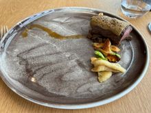Roe Deer 