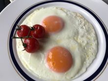 Standard eggs
