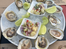 Oysters