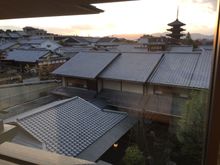 Late afternoon from room