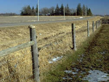Electric Fence