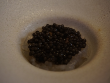 Halibut w/ Ossetra caviar