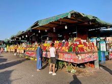 Beautiful fruits for juices