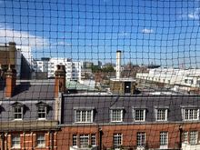 And a view to the north over Bernard Street. Yes that is a net to keep the birds of prey ... pigeons away .... or rather that no guests throws something out of their windows frame 
