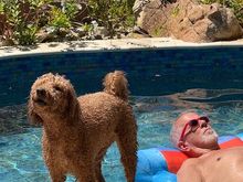 I’m going to need EVERYONE in the pool!