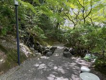A part of the Japanese Garden