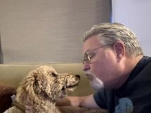 We were away for a couple days. Poppy and her sitter had a talk or were playing kissy face. Not sure which. 