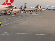Tail shots of T5 planes