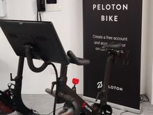 Free peloton bikes in the gym