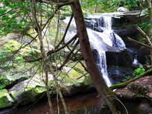 Enders Brooks Falls, in the Connecticut woods