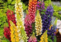 Confused of Off-Shore