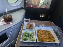 American Airlines Dinner Business Class DFW-MIA