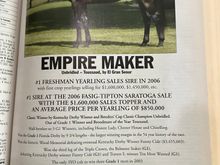 Empire Maker at the start of what seemed destined to be a great stud career before a lull in progeny productivity led to him being sold and shipped overseas right as his offspring were on a roll