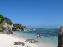 Part of what ya miss on La Digue